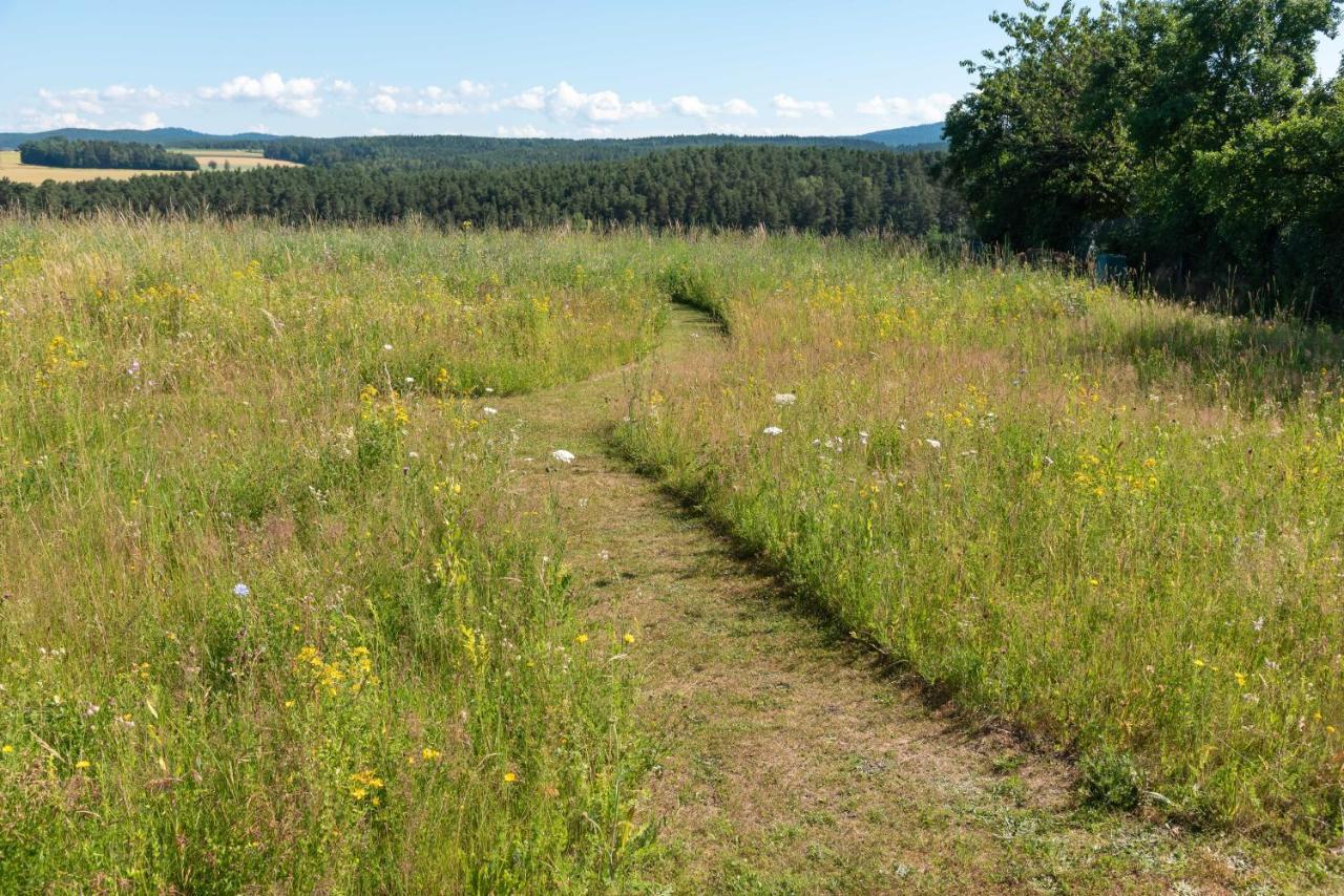 Moderne, Gemuetliche Dg-Wohnung In Ruhiger Lage Neunburg vorm Wald Buitenkant foto