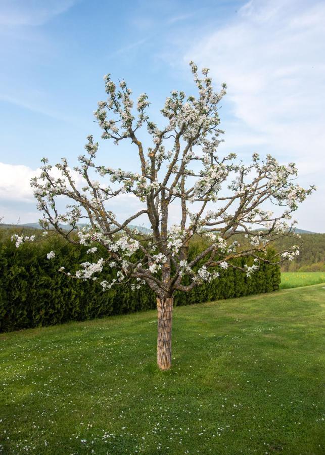 Moderne, Gemuetliche Dg-Wohnung In Ruhiger Lage Neunburg vorm Wald Buitenkant foto
