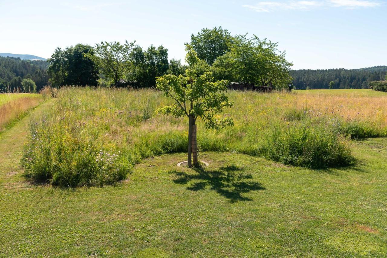 Moderne, Gemuetliche Dg-Wohnung In Ruhiger Lage Neunburg vorm Wald Buitenkant foto